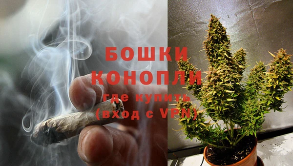 гидропоника Струнино