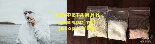 ПСИЛОЦИБИНОВЫЕ ГРИБЫ Тайга