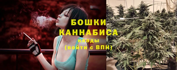 гидропоника Струнино