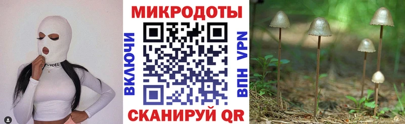 Галлюциногенные грибы мухоморы  Усть-Джегута 